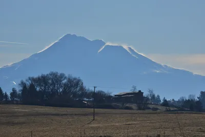 DSC_6029 (Large).JPG